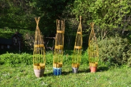 DSC_0414 - Copie (2).JPG