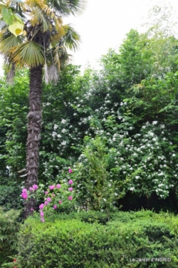 maison,jardin Bernadette,et jardin Claudine 111.JPG