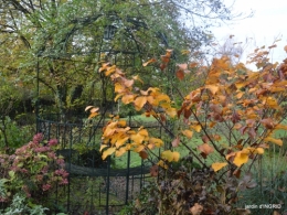 couleurs d'automne,bouquet,lune 106.JPG