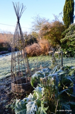 givre,maison,oiseaux 011.JPG