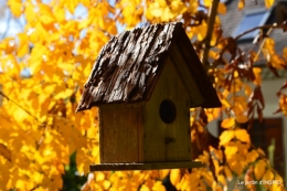 les arbres en automne,cabane 104.JPG