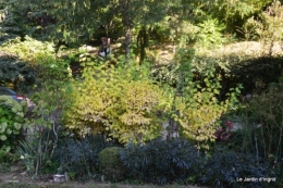 mon coin,Monique,les oies,mon jardin 058.JPG