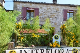 tournesols,podium,Lucas,jardin,Calès 041.JPG