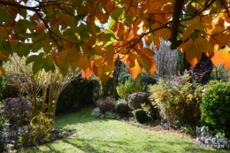 anniversaire Mamy,chateau d'eau,jardin automne 088.JPG