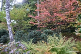 Famille,Viaduc,Photos anciennes,Chaumont,Val Maubrune 604.jpg