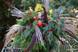 fin de l'automne,Lalinde,bouquet de l'avent 131.JPG