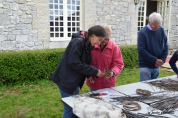 Julie,Lalinde,Cygnes,Roses,Osier à Monbazillac 069.JPG