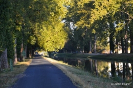 jardin début d'automne ,Sophie,rouge 103.JPG