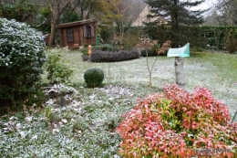 oiseaux première neige 048.JPG