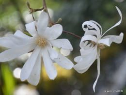 Romane,arbre de Paques,chez Bernadette,jardin 027.JPG