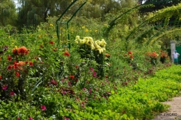 bouquet,jardin de Monet,les vaches,Pourville sur mer 043.JPG