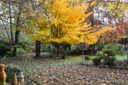 canal,automne,tonte des feuilles 064.JPG