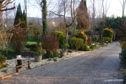 paillage,primevères,jonquilles,jardin 078.JPG