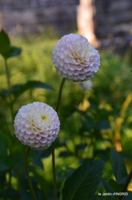 Fleurettes,Dordogne,jardin 169.JPG