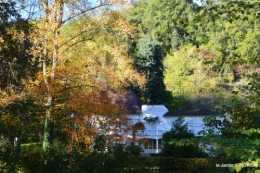 jardin automne,voisinage,canal 167.JPG