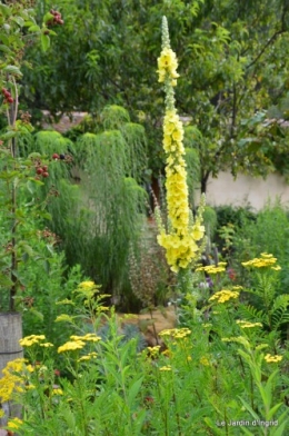 tournesols,pt jardin,nénuphard,libellules,lavande bouquet,carava 040-001.JPG