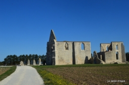 l ile de Ré,jardin automne 037.JPG