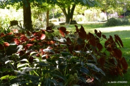 les filles,piscine,jardin,tipi 102.JPG