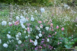 jardin Mme Perichou,grandes fleurs,bouquet,jardin 030.JPG