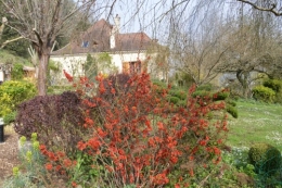 chevreuil,jardin,Paques avec les enfants 027.JPG