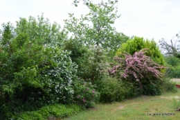 maison,jardin Bernadette,et jardin Claudine 027.JPG