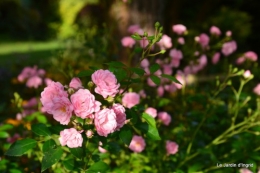 moi,Trémolat,Limeuil,Mombazillac,Bridoire,chèvres Banes,jardin,R 178.JPG