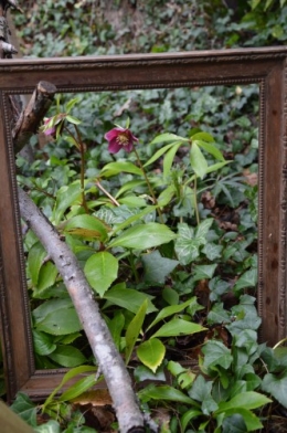 chez Maryse,pour tableaux,jardin 2013 043.JPG