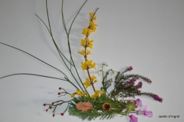 matin d'hiver,tableaux de fleurs janvier 081.JPG