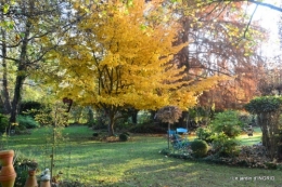 canal,automne,tonte des feuilles 088.JPG