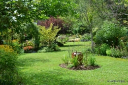 aout jardin 010.JPG