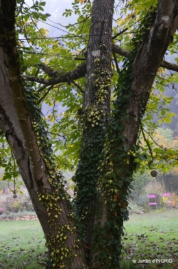 brouillard le matin d'automne 041.JPG