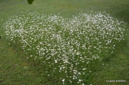 jardin en mai,visites bus,petit jardin 246.JPG