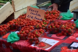 fête de la citrouille,jardinage,jardin 012.JPG