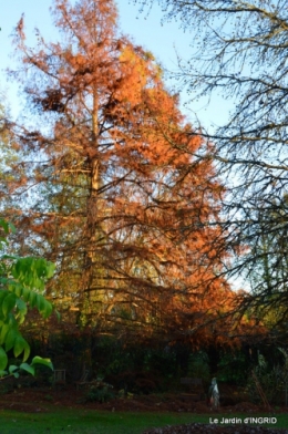 jardin, feuilles,sauges,gloriette,land art 139.JPG