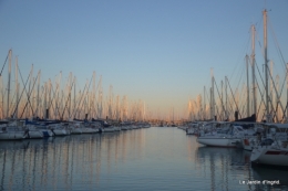 l ile de Ré,jardin automne 145.JPG