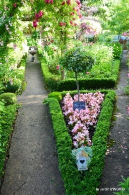 jardin pluie,Inès,Bébés cygnes,bouquet,canal 083.JPG