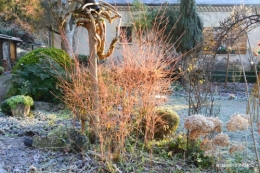 colline,jardin givré 040.JPG