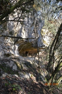 petit houx,colline