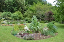 tour du jardin en juin 046.JPG