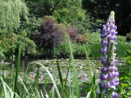 Normandie,jardin Monet,baie de Somme,chez Marylaur 201.JPG