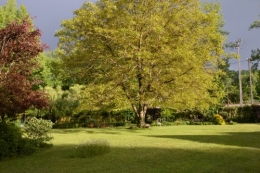 jardin,premières roses,colline,avant l'orage 112.JPG