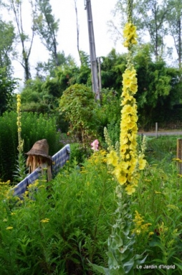 tournesols,pt jardin,nénuphard,libellules,lavande bouquet,carava 033.JPG