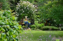 portes ouvertes,taille marguerittes,jardin 069.JPG