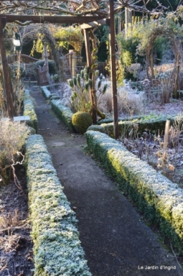 givre,jardin,bouquet 040.JPG