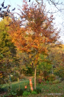 canal,automne,tonte des feuilles 071.jpg