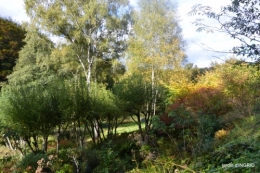 Famille,Viaduc,Photos anciennes,Chaumont,Val Maubrune 634.jpg