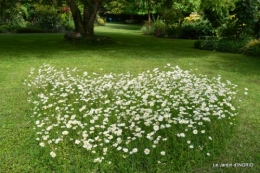 fête de la fraise Vergt,roses jardin 142.JPG