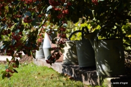 Nicky et Arya,jardin automne 025.JPG