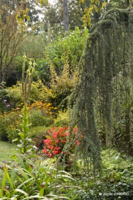 jardin en septembre,les cygnes 146.JPG