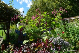 jardin pour l'automne,affiche vide jardin 100.JPG